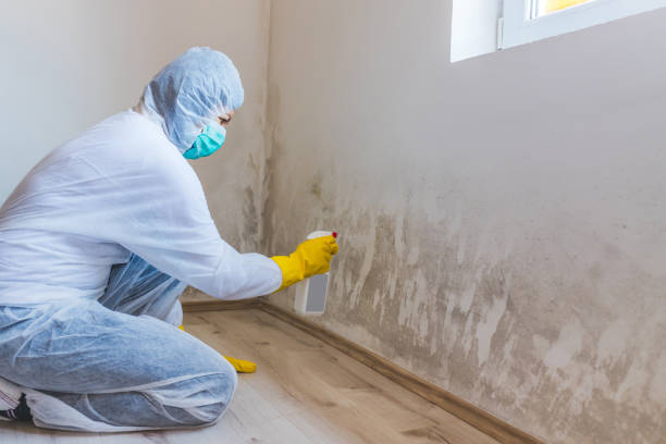 Hvac And Air Duct Mold Remediation inspection of HVAC system in Biglerville
